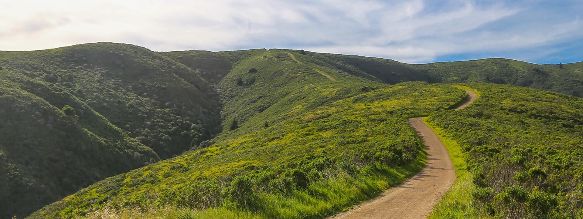 Panoramaansicht eines Weges in der Natur